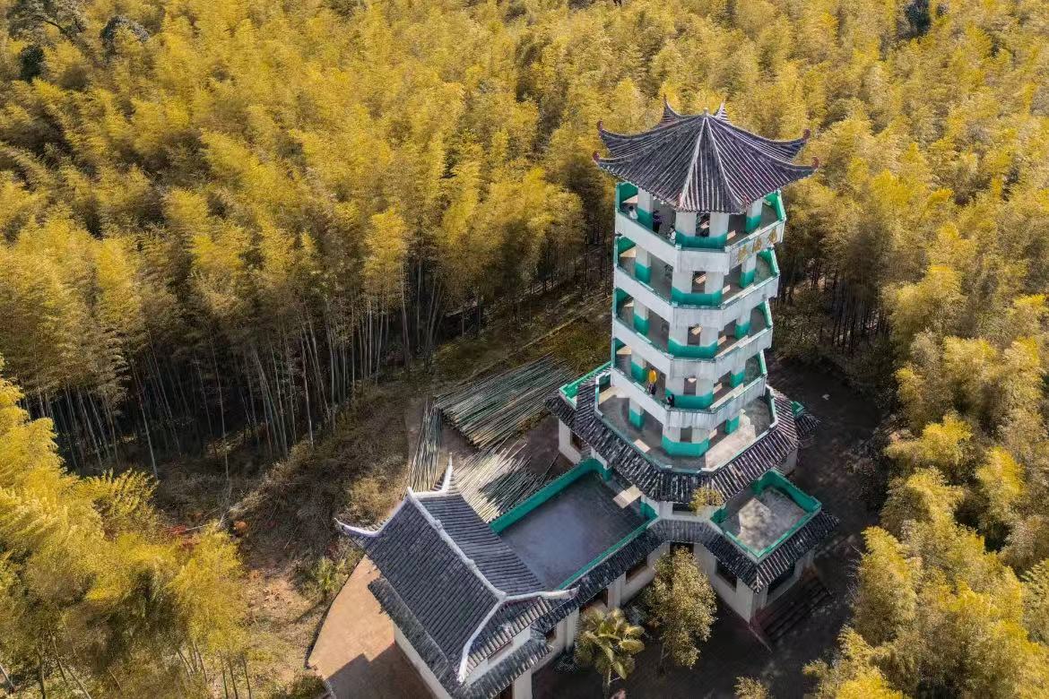 Chishui Bamboo Sea National Forest Park